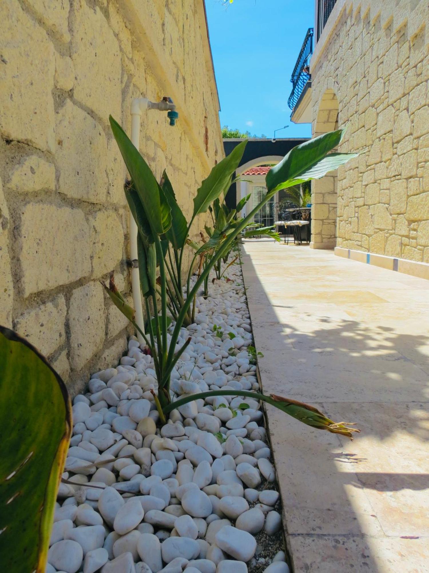 Fedora Otel Alacati Exterior photo